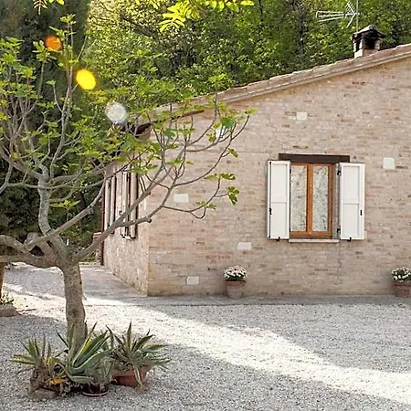 Calmancino Delle Selve