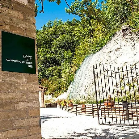 Calmancino Delle Selve 3*