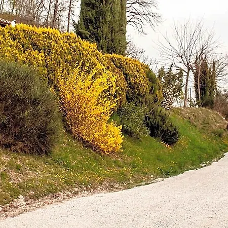 Calmancino Delle Selve Bed & Breakfast Urbino