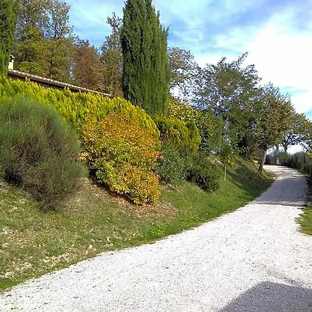 Calmancino Delle Selve Bed & Breakfast