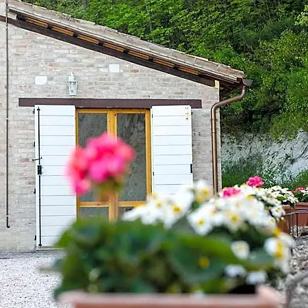 Bed & Breakfast Calmancino Delle Selve Urbino