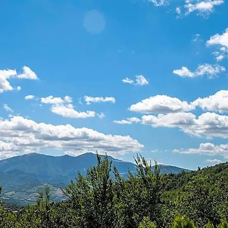 Calmancino Delle Selve