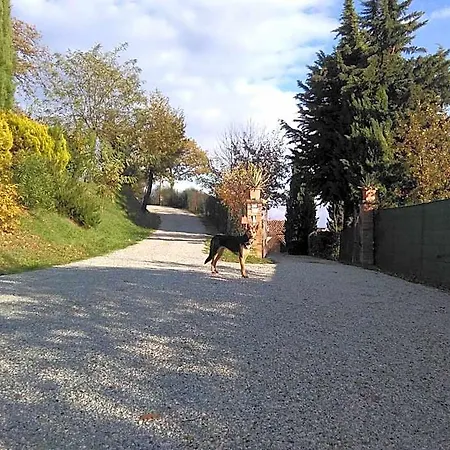 Calmancino Delle Selve 3* Urbino