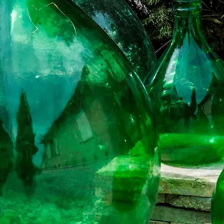 Calmancino Delle Selve Urbino