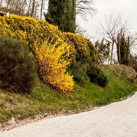 Bed & Breakfast Calmancino Delle Selve 3*