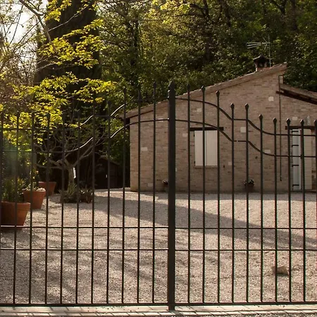 Calmancino Delle Selve