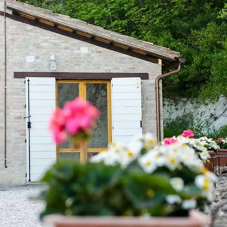 Calmancino Delle Selve Bed & Breakfast Urbino