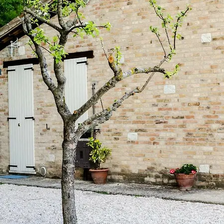 Calmancino Delle Selve Bed & Breakfast