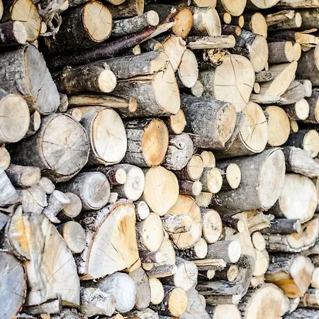 Bed & Breakfast Calmancino Delle Selve