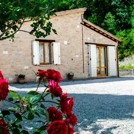 Calmancino Delle Selve Bed & Breakfast Urbino