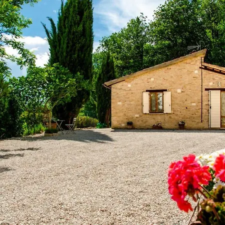 Calmancino Delle Selve