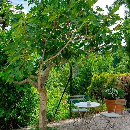 Calmancino Delle Selve 3* Urbino