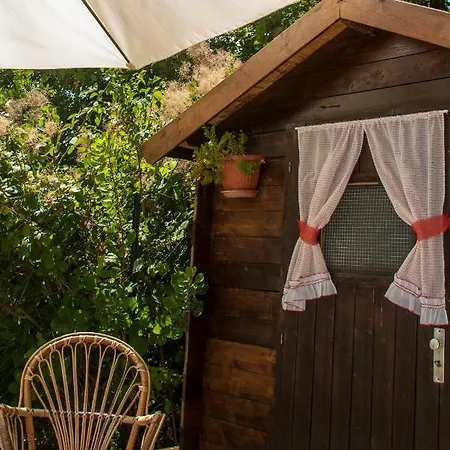 Calmancino Delle Selve Urbino