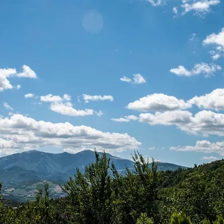 Calmancino Delle Selve 3*