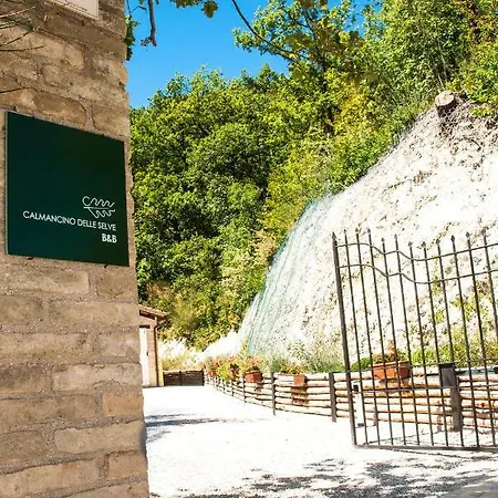 Calmancino Delle Selve