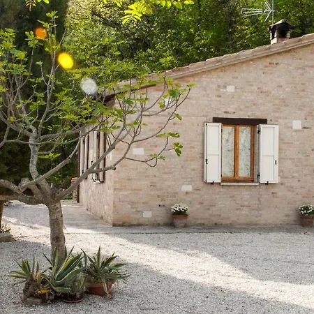 Bed & Breakfast Calmancino Delle Selve 3*