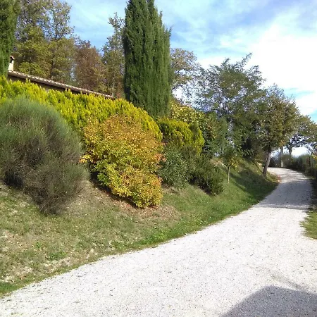 Calmancino Delle Selve